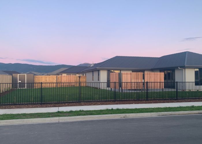  at 31 Kahikatea Way, Appleby, Richmond