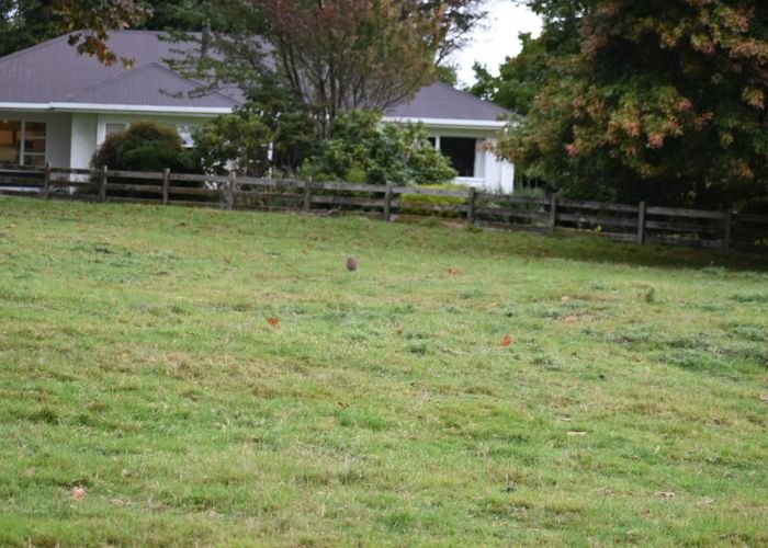  at 53 Terrace Road, Feilding