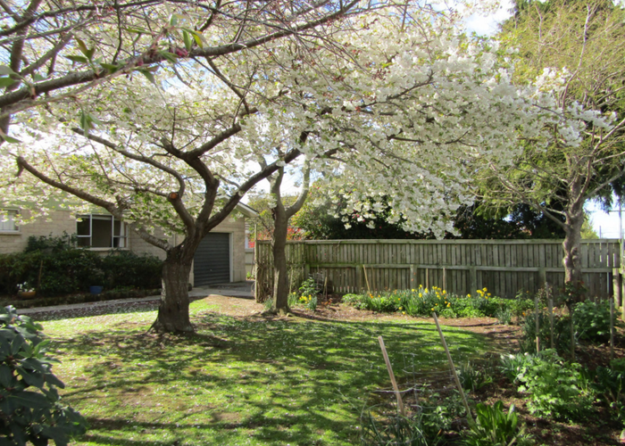  at 56 Mill Road, Waimate, Waimate