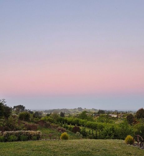 at 12 Harley Ridge, Tasman, Upper Moutere