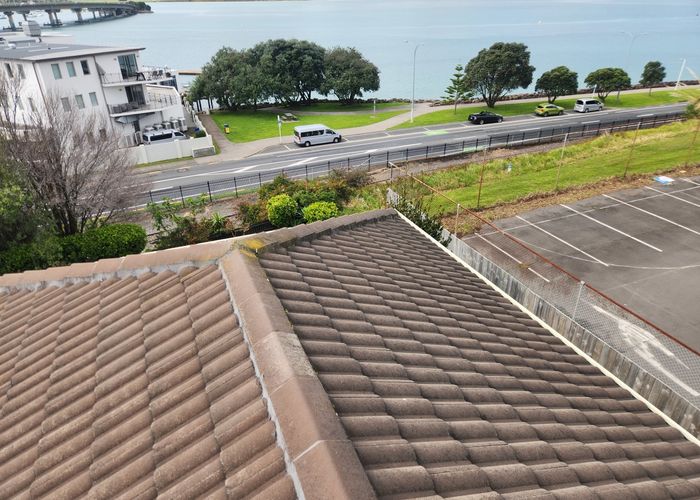  at 51 Cliff Road, Tauranga, Tauranga