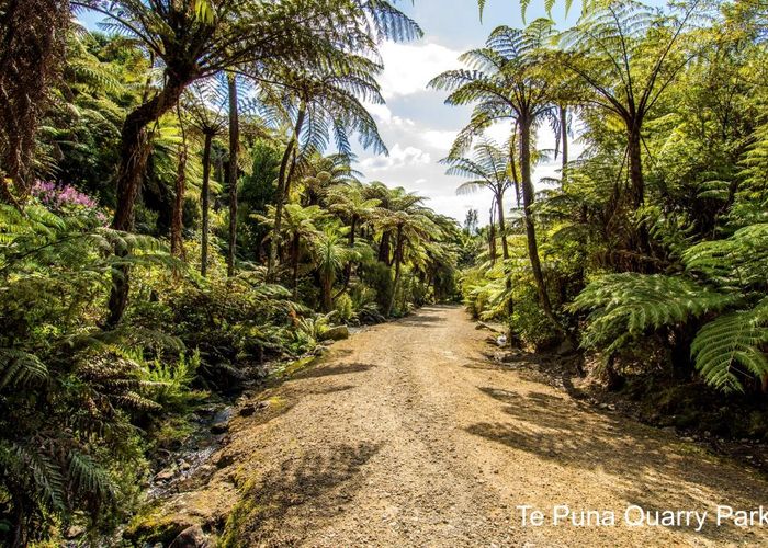  at 71 Te Puna Quarry Road, Minden, Tauranga