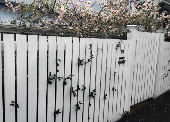 at 19 Commercial Road, Grey Lynn, Auckland