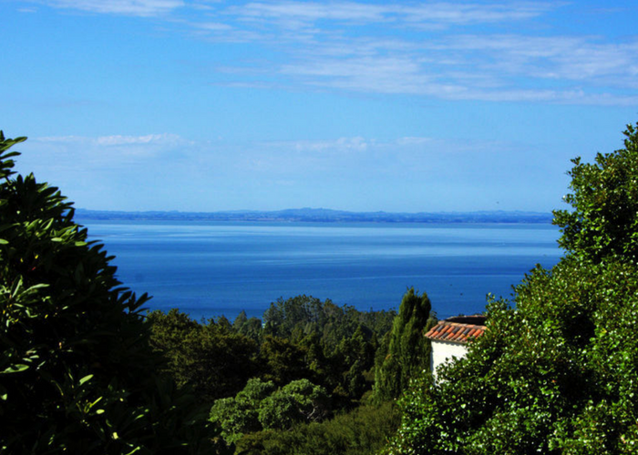  at 441 Titirangi Road, Titirangi, Auckland