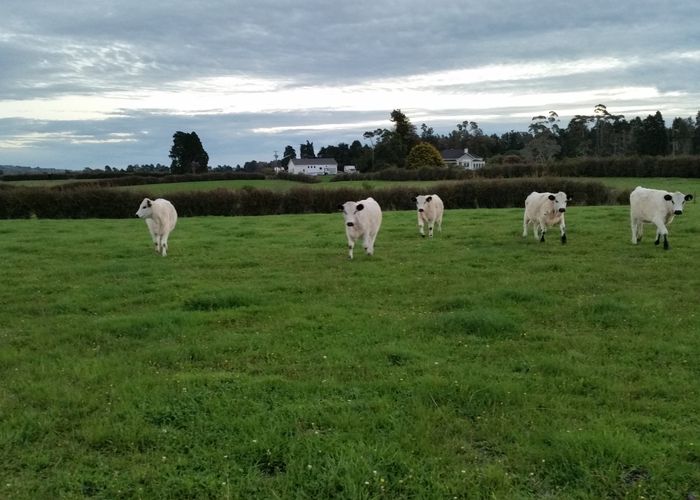  at 1 West Road, Papakura