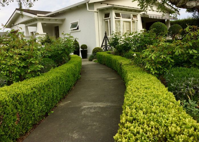  at 44 Herrick Street, Marewa, Napier
