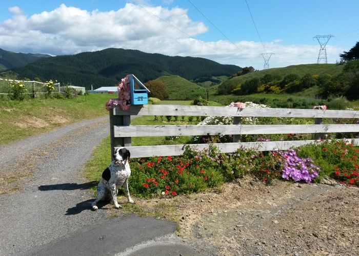  at 27 Angus Way, Nikau Valley, Paraparaumu