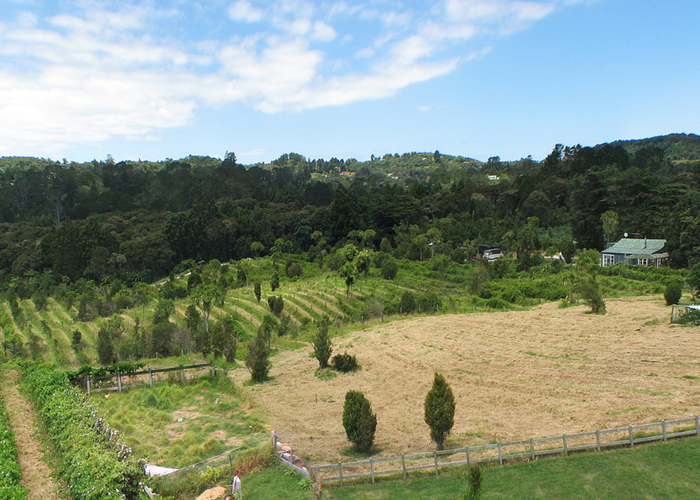  at 172 Parker Road, Oratia, Auckland