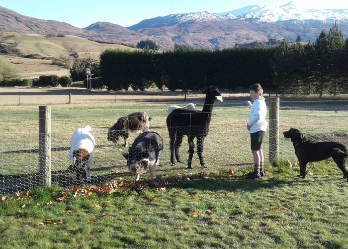  at 29 Fitzpatrick Road, Dalefield, Queenstown