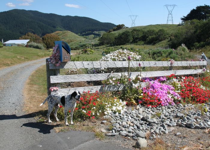  at 27 Angus Way, Nikau Valley, Paraparaumu