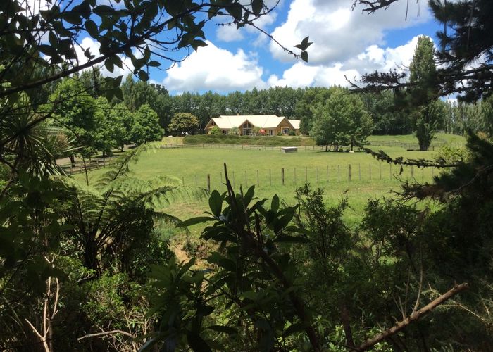  at 84 Croft Lane, Albany