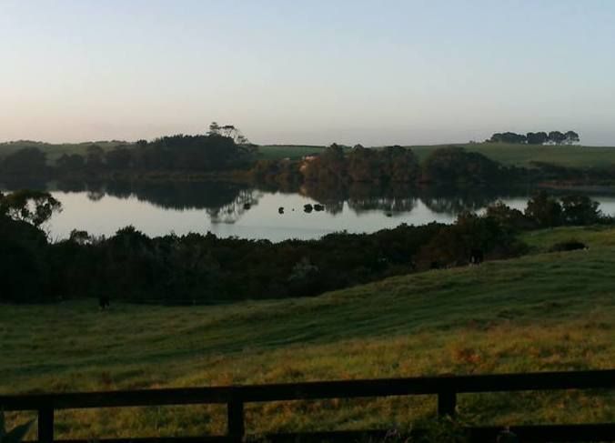  at 83 Boyd Road, Pukekohe