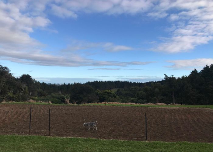  at 503 Ryan Road, Te Arai, Wellsford