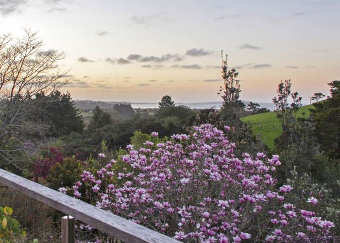 Free property data for 509 WhitfordMaraetai Road, Beachlands, Auckland