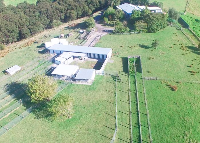  at 219 Forest Hill Road, Waiatarua, Auckland