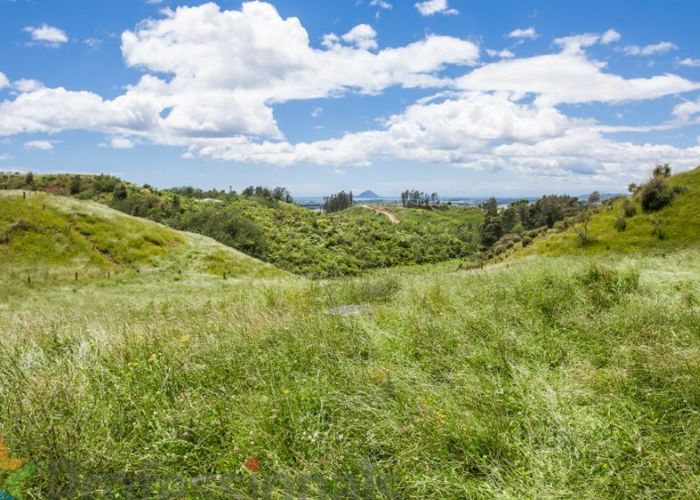  at 302G Withy RD, MANAWAHE, WHAKATANE