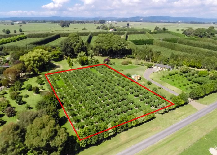 at 82 Colebrook Road, Edgecumbe, Whakatane