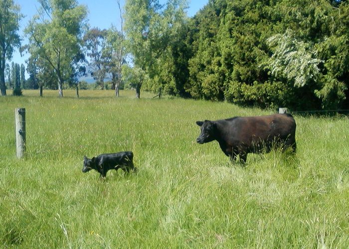  at 373 Hallett Road, Otakiri, Whakatane