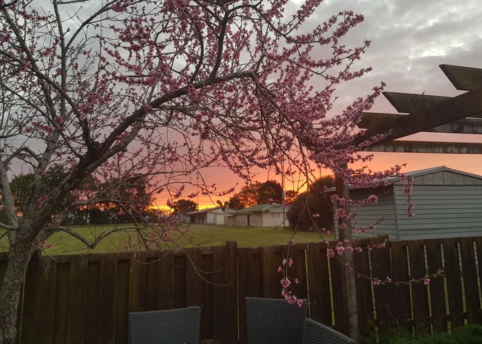  at 6 Rimu Street, Morrinsville