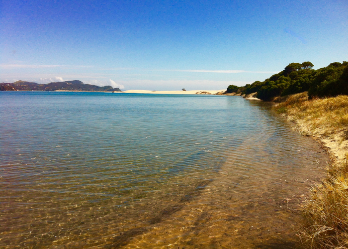  at 217A Tern Point, Mangawhai