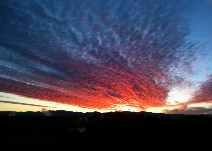  at 1/256A Annesbrook Drive, Wakatu, Nelson