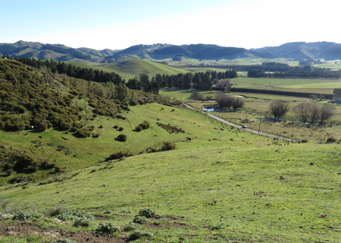 at 1/266 Patersons Road, Motunau, Greta Valley