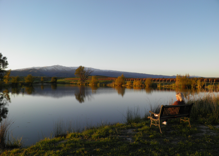  at 413 Springvale Road, Springvale, Alexandra