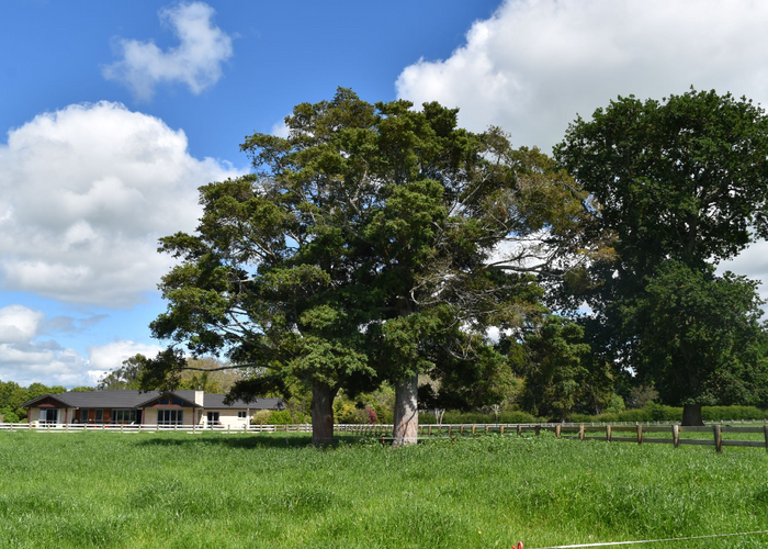  at 383 Strange Road, Otway, Te Aroha