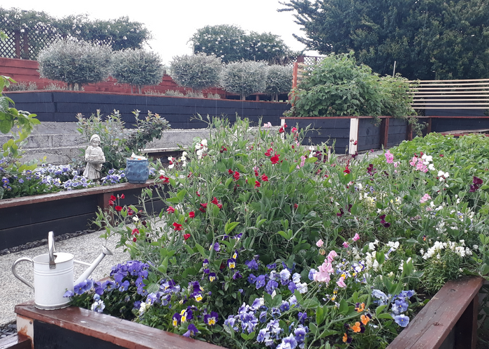  at 650 Kakepuku Road, Pokuru, Te Awamutu