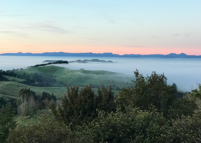 at 257 North Road, Thames