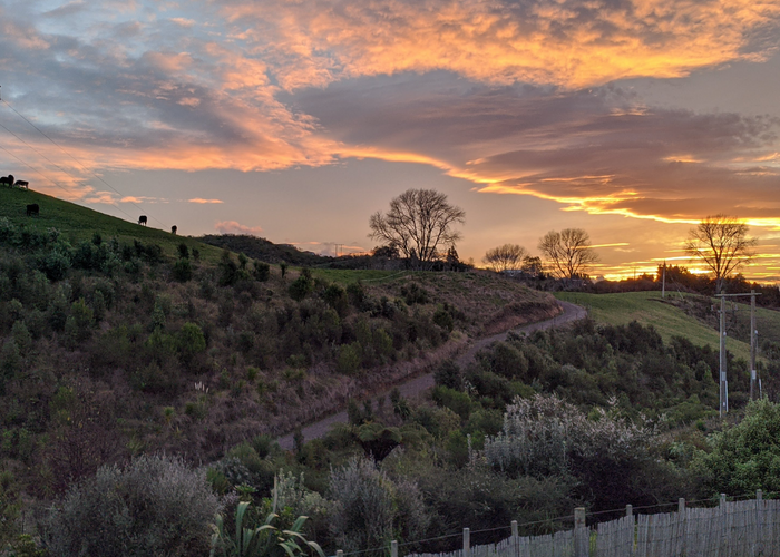  at 66 Falcon Drive, Welcome Bay, Tauranga