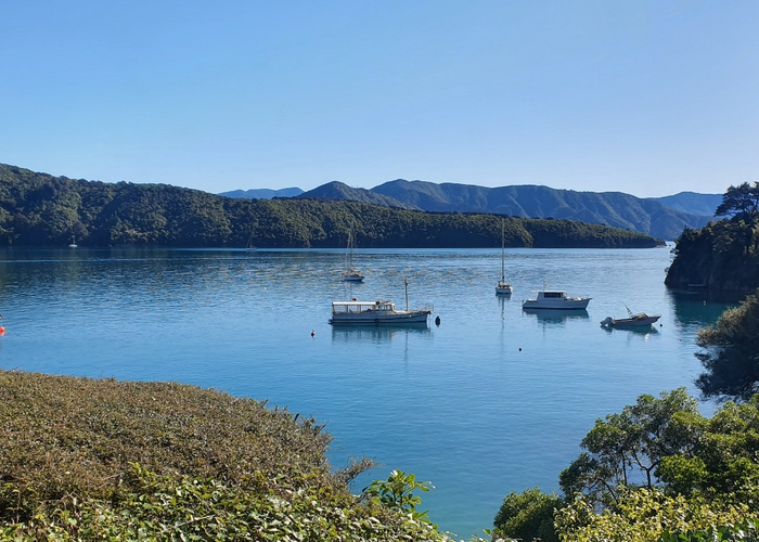  at 119 Port Underwood Road, Waikawa, Picton