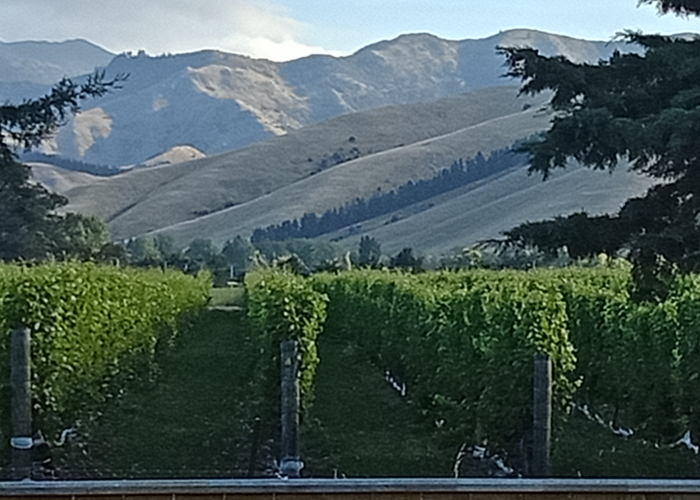  at 132 Turnbull Drive, Witherlea, Blenheim