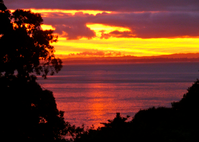  at 97 Cornwallis Road, Cornwallis, Auckland