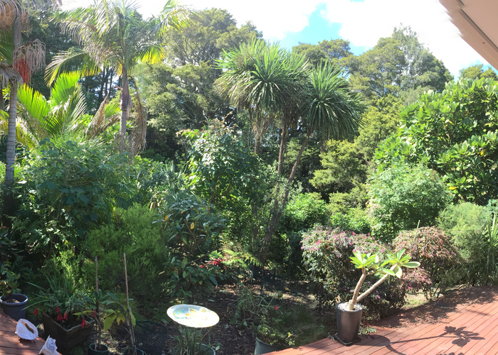  at 5 Tealmere Grove, Maunu, Whangarei