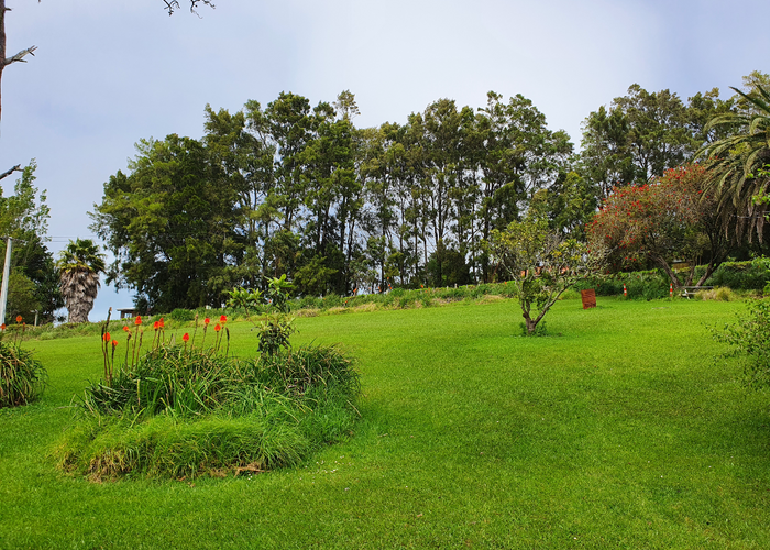  at 1127A Whangaparaoa Road, Whangaparaoa, Auckland