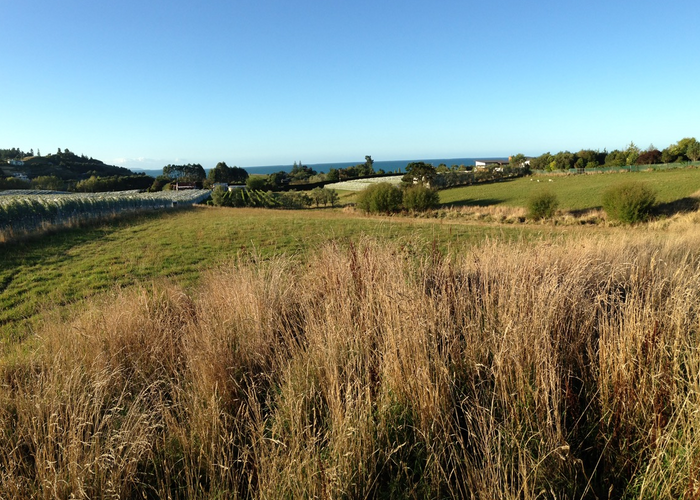  at 52 Cliff Road, Tasman, Upper Moutere