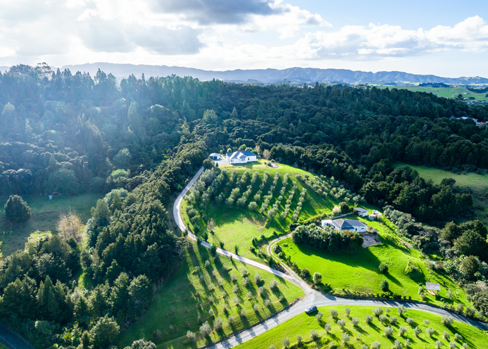  at 31 Olive grove, MANGAWHAI, KAIWAKA