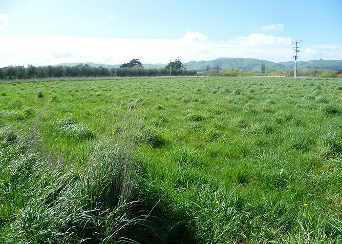  at 262C Dakins Road, Masterton