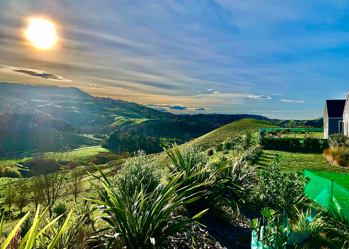 at 51 Timoti Road, Havelock North