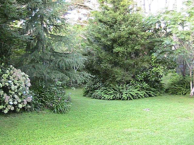 at 5B Lemon Grove, Kerikeri