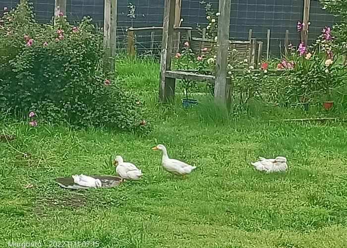  at 72A Kawerau Road, Putauaki, Whakatane