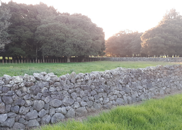  at 13 Rotomate Road, Te Kamo, Whangārei