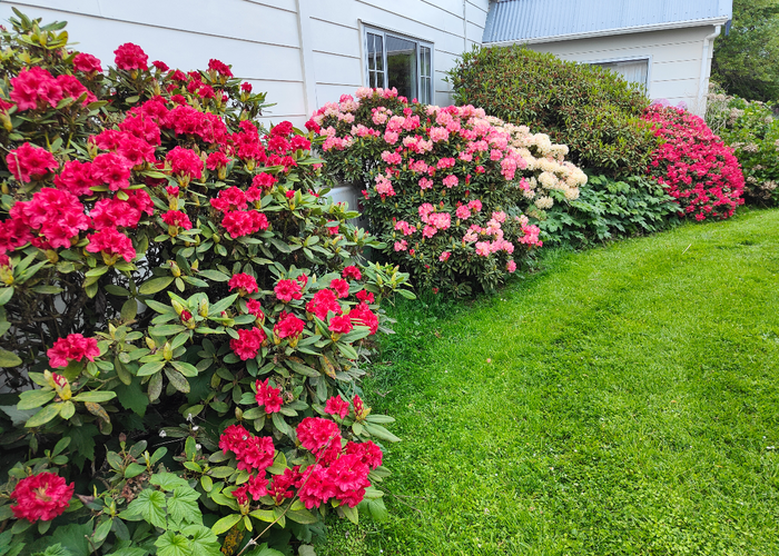 at 123 Kerrytown Road, Kerrytown