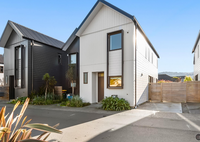  at 17 Ron Deal Way, Epuni, Lower Hutt