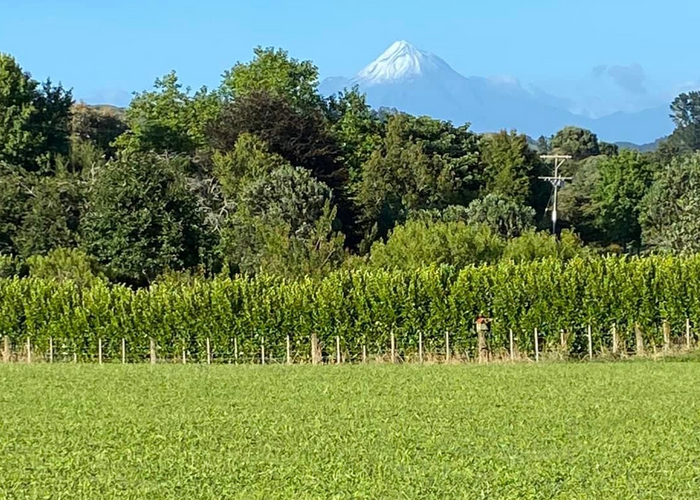  at 107 Hickman Road, Urenui, Urenui