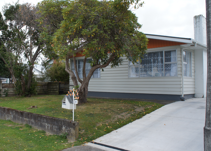  at 20 Matipo Street, Takaro, Palmerston North