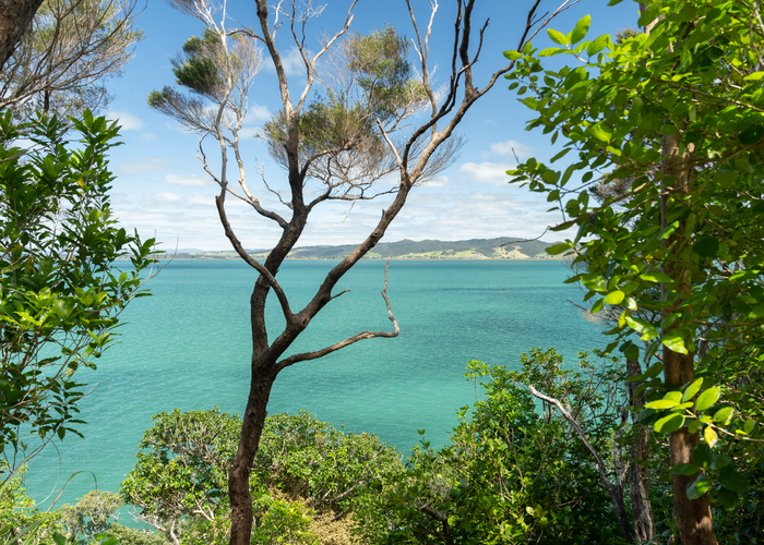 at 168 Manganese Point Road, Tamaterau, Whangārei