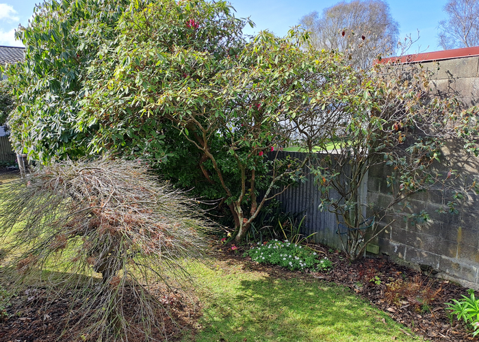  at 5/163 Queens Drive, Richmond, Invercargill