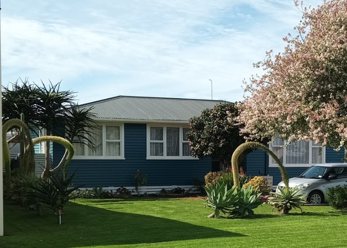  at 37 Andrew Street, Elgin, Gisborne